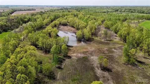 0 County Road 513, Senath, MO 63876 photo 48