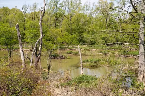 0 County Road 513, Senath, MO 63876 photo 10