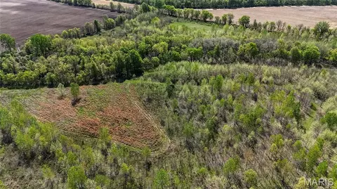 0 County Road 513, Senath, MO 63876 photo 34