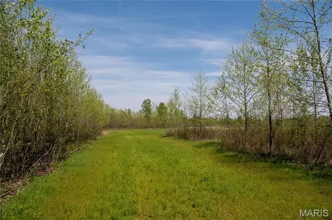 0 County Road 513, Senath, MO 63876 photo 23