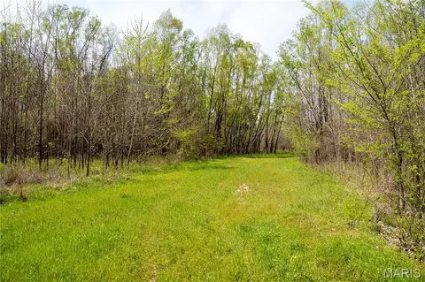 0 County Road 513, Senath, MO 63876 photo 6