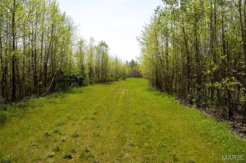 0 County Road 513, Senath, MO 63876 photo 22