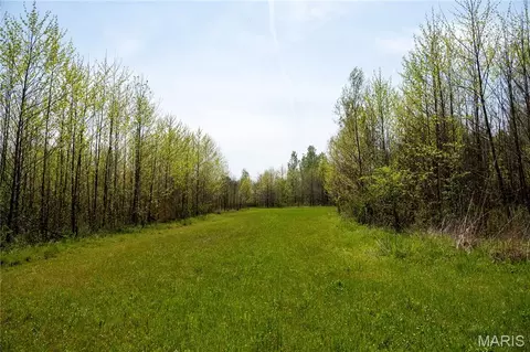 0 County Road 513, Senath, MO 63876 photo 24