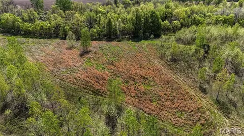 0 County Road 513, Senath, MO 63876 photo 38