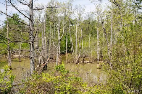 0 County Road 513, Senath, MO 63876 photo 18