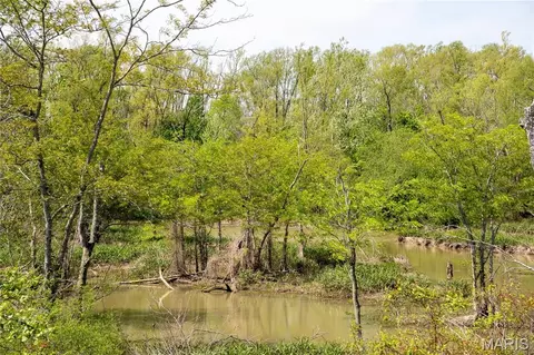 0 County Road 513, Senath, MO 63876 photo 13
