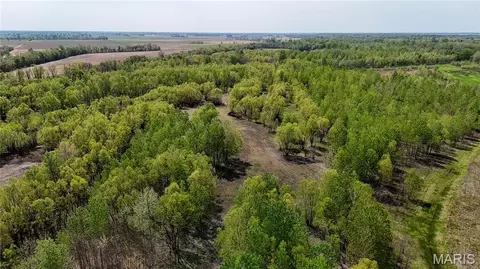 0 County Road 513, Senath, MO 63876 photo 5