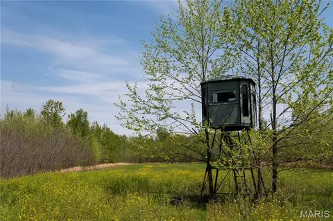 0 County Road 513, Senath, MO 63876 photo 8