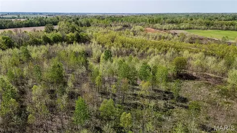 0 County Road 513, Senath, MO 63876 photo 39