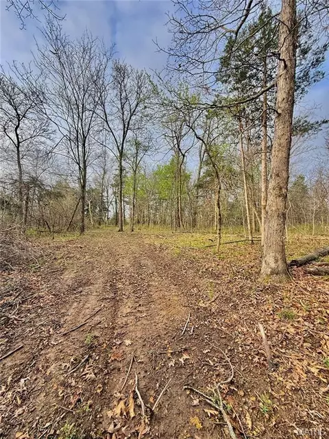 tbd SE 800 Rd, Collins, MO 64738 photo 28