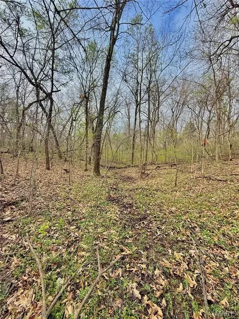tbd SE 800 Rd, Collins, MO 64738 photo 24