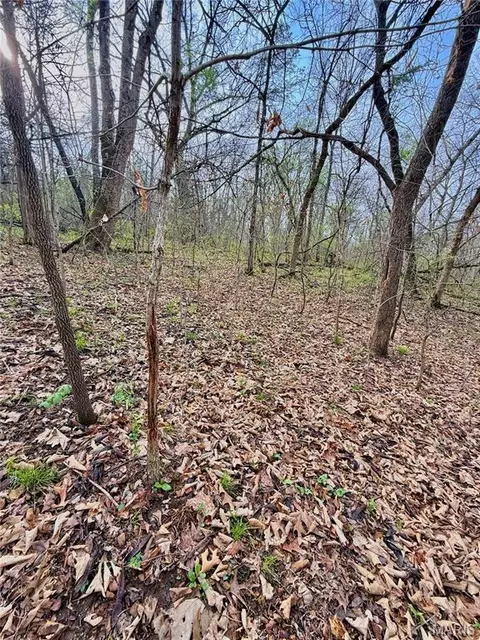 tbd SE 800 Rd, Collins, MO 64738 photo 25