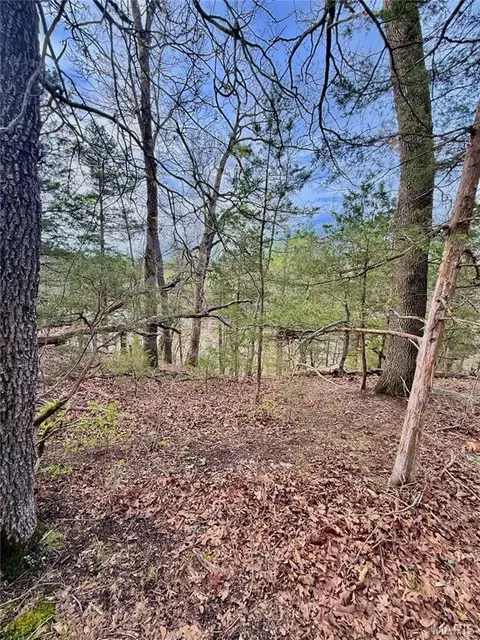 tbd SE 800 Rd, Collins, MO 64738 photo 31