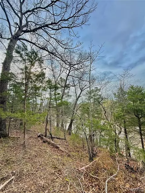 tbd SE 800 Rd, Collins, MO 64738 photo 33