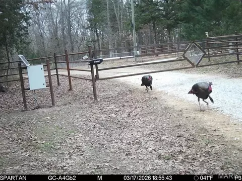 tbd SE 800 Rd, Collins, MO 64738 photo 36