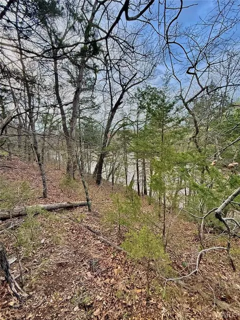 tbd SE 800 Rd, Collins, MO 64738 photo 35