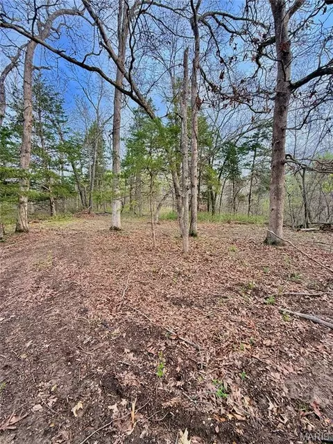 tbd SE 800 Rd, Collins, MO 64738 photo 30