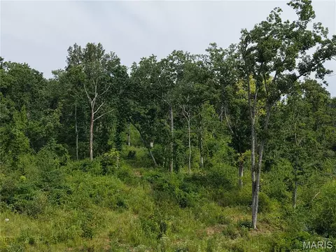 Other - 188 7- N Service E Rd, Sullivan, MO 63080 photo 5 of 49