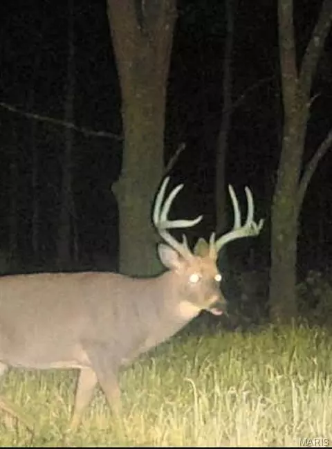 Other - 10849 Claxton Rd, Falcon, MO 65470 photo 34 of 40
