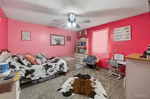 Bedroom - 10849 Claxton Rd, Falcon, MO 65470 photo 4 of 15