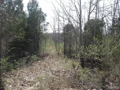 0 Crews Dr, Saint Clair, MO 63077 photo 12