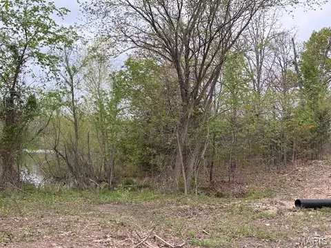 607 Katie Ln, Dixon, MO 65459 photo 3