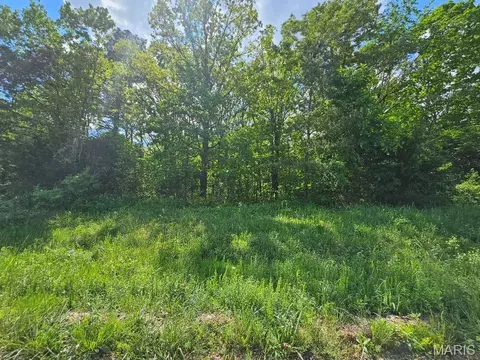 0 Carter 239, Ellsinore, MO 63937
