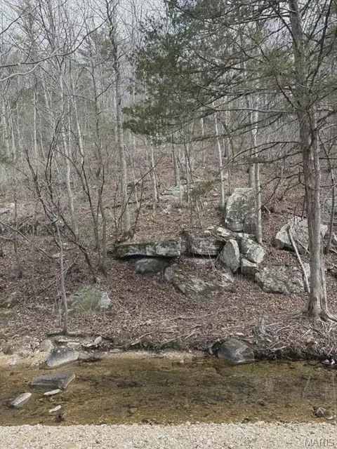 3528 M- County Road 329, Ava, MO 65608