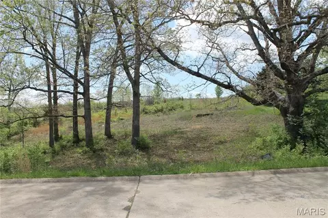 0 Oak Ridge Dr, Saint Clair, MO 63077 photo 9