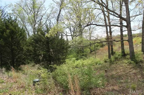 0 Oak Ridge Dr, Saint Clair, MO 63077 photo 4