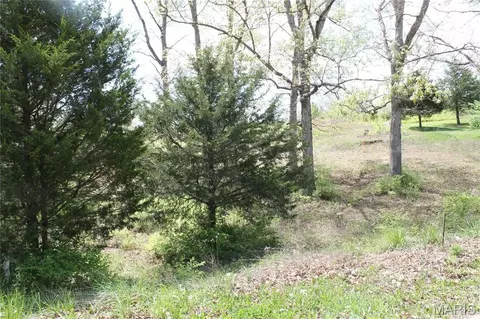 0 Oak Ridge Dr, Saint Clair, MO 63077 photo 5