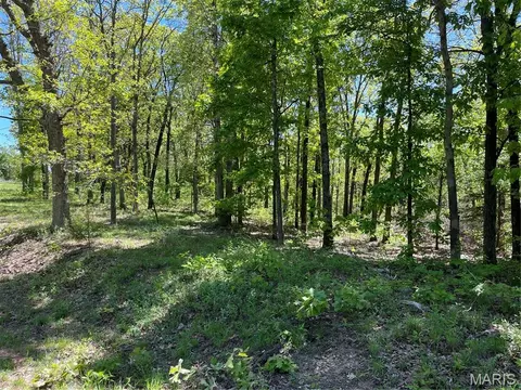 tbd Lobo Dr, Festus, MO 63028 photo 5