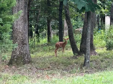 Other - Undisclosed, High Ridge, MO 63049 photo 10 of 10
