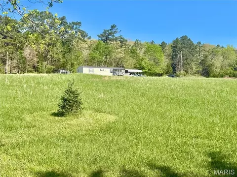1795 Madison 417, Fredericktown, MO 63645 photo 9