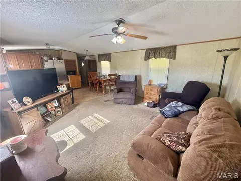 1795 Madison 417, Fredericktown, MO 63645 photo 20
