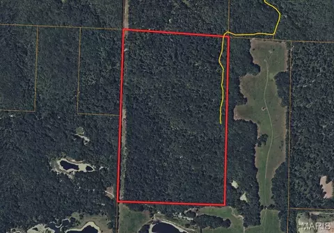 104 Ac Tree Farm Rd, New Florence, MO 63363