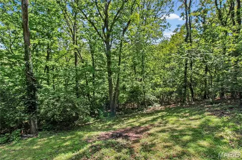 Exterior - 3312 Eldon Dr, Imperial, MO 63052 photo 9 of 13
