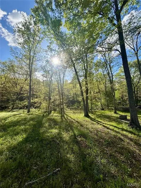 Other - 323 Shamrock Ln, Bourbon, MO 65441 photo 14 of 15