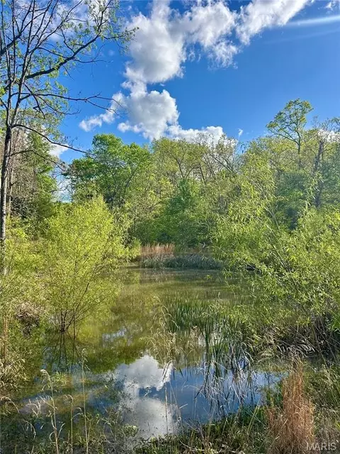 View/Area - 323 Shamrock Ln, Bourbon, MO 65441 photo 1 of 2