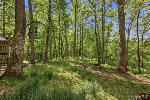 Exterior - 1636 Daybreak Point Ct, Ballwin, MO 63021 photo 12 of 16