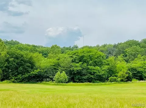 0 Deer Run Plat 12 #LOT 18, Van Buren, MO 63965