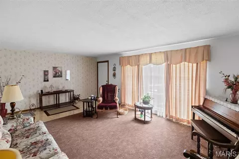 Other - 156 Crest Haven Dr, Belleville, IL 62221 photo 1 of 5