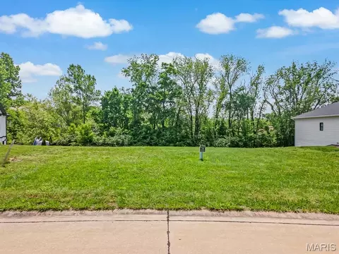 1004 Oak Creek Ln, Waterloo, IL 62298 photo 5