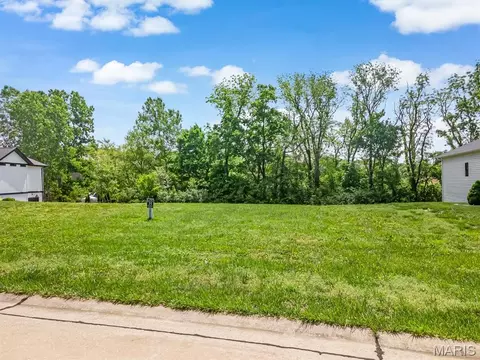 1004 Oak Creek Ln, Waterloo, IL 62298 photo 4