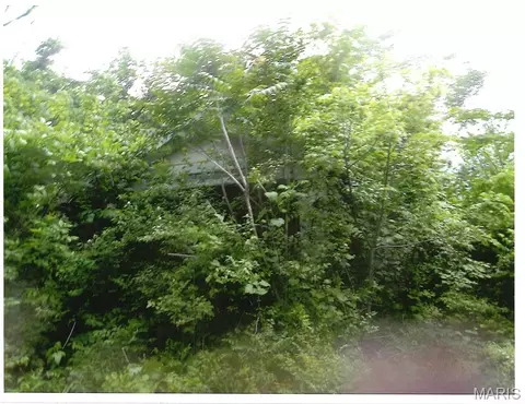 1931 N 57th St, Washington Park, IL 62204