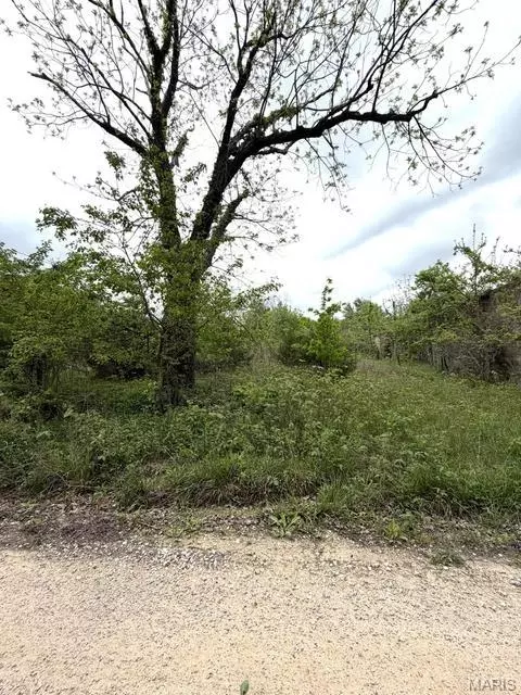 6919 County Road 665, Birch Tree, MO 65438