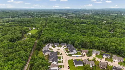 View/Area - 1967 Masters Dr, Festus, MO 63028 photo 3 of 4