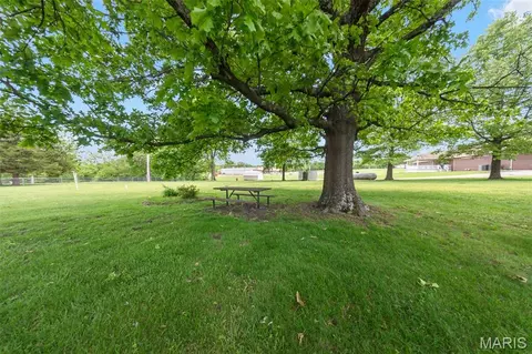 Exterior - 503 Spruce St, Dixon, MO 65459 photo 5 of 8