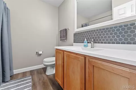 Bath - 309 Hawks View Dr, O'fallon, MO 63368 photo 2 of 3