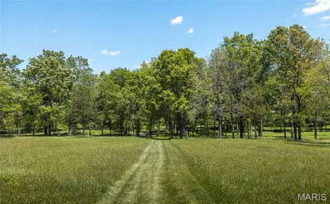 Exterior - 10780 Wilmena Ln, Rolla, MO 65401 photo 8 of 11